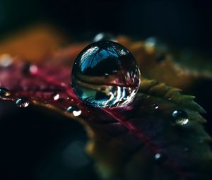 Preview wallpaper drops, water, macro, reflection, leaf