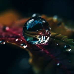 Preview wallpaper drops, water, macro, reflection, leaf