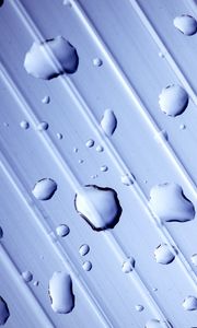 Preview wallpaper drops, water, macro, moisture