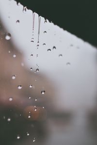 Preview wallpaper drops, water, macro, drips