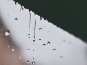 Preview wallpaper drops, water, macro, drips