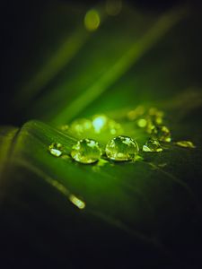 Preview wallpaper drops, water, macro, leaf, dark