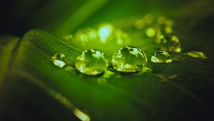 Preview wallpaper drops, water, macro, leaf, dark