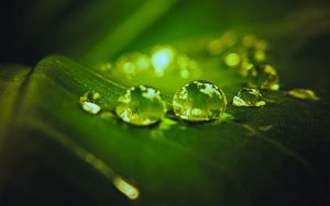 Preview wallpaper drops, water, macro, leaf, dark