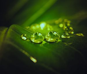 Preview wallpaper drops, water, macro, leaf, dark