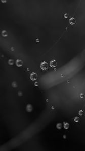 Preview wallpaper drops, water, macro, bw