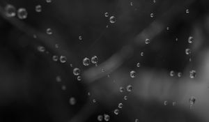 Preview wallpaper drops, water, macro, bw