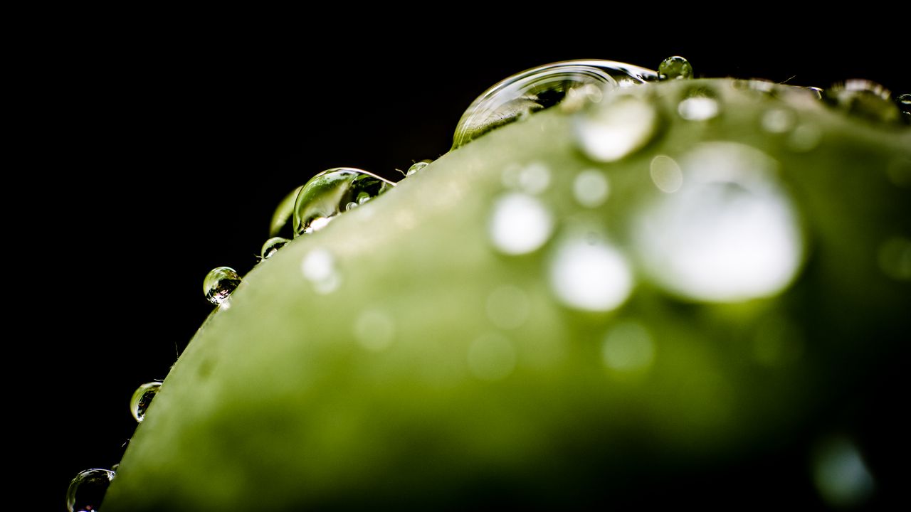 Wallpaper drops, water, macro, green, dark