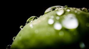 Preview wallpaper drops, water, macro, green, dark