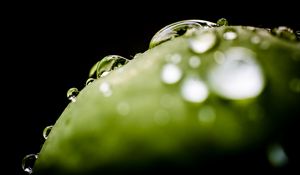 Preview wallpaper drops, water, macro, green, dark