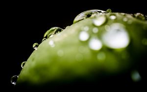 Preview wallpaper drops, water, macro, green, dark
