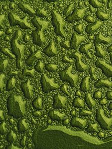 Preview wallpaper drops, water, macro, surface, green