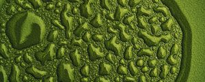 Preview wallpaper drops, water, macro, surface, green