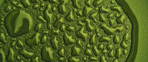 Preview wallpaper drops, water, macro, surface, green