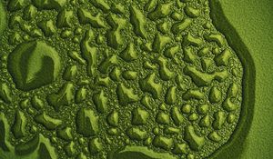 Preview wallpaper drops, water, macro, surface, green