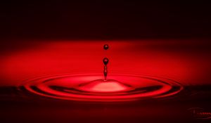 Preview wallpaper drops, water, macro, red