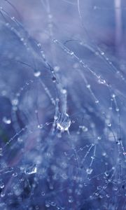 Preview wallpaper drops, water, rain, fishing line, macro