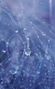 Preview wallpaper drops, water, rain, fishing line, macro