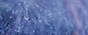 Preview wallpaper drops, water, rain, fishing line, macro