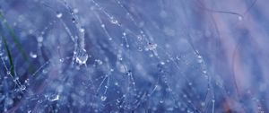Preview wallpaper drops, water, rain, fishing line, macro