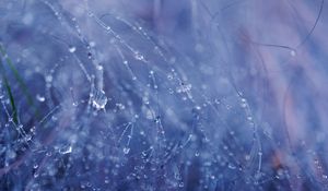 Preview wallpaper drops, water, rain, fishing line, macro