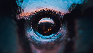 Preview wallpaper drops, water, reflection, illusion, macro