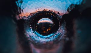 Preview wallpaper drops, water, reflection, illusion, macro