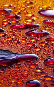 Preview wallpaper drops, water, relief, macro