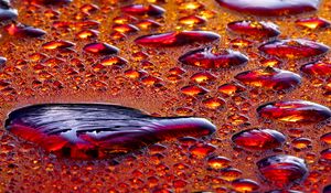 Preview wallpaper drops, water, relief, macro