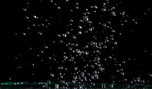 Preview wallpaper drops, water, splash, shine, macro