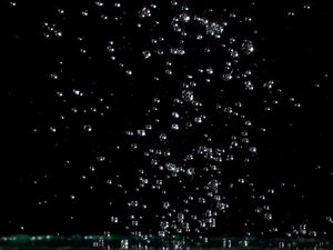Preview wallpaper drops, water, splash, shine, macro