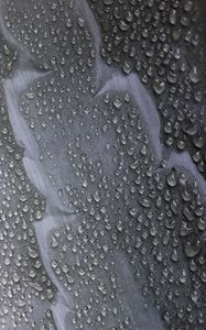 Preview wallpaper drops, water, surface, rain, grey, macro