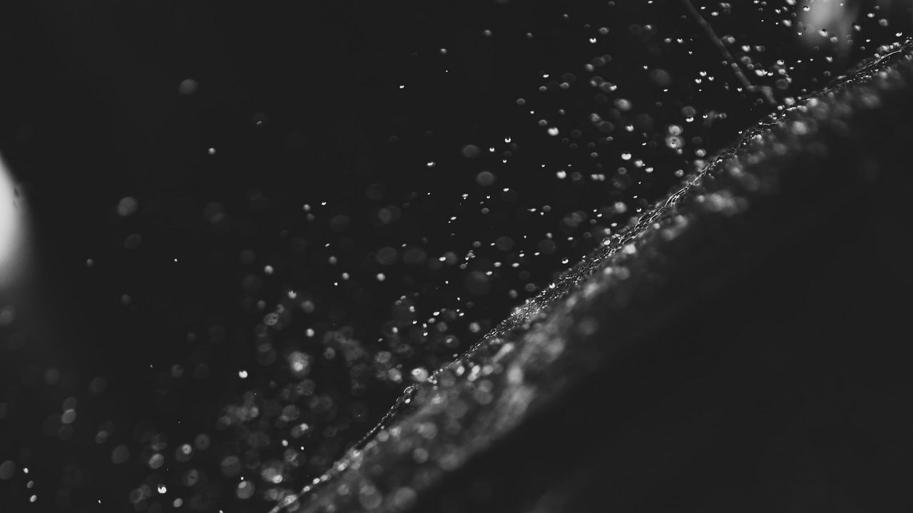 Wallpaper drops, water, surface, bw