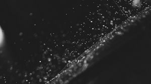 Preview wallpaper drops, water, surface, bw