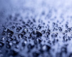 Preview wallpaper drops, water, surface, macro, wet