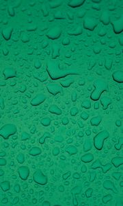 Preview wallpaper drops, water, surface, macro, green, wet
