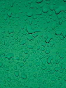 Preview wallpaper drops, water, surface, macro, green, wet