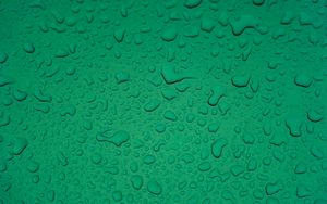 Preview wallpaper drops, water, surface, macro, green, wet