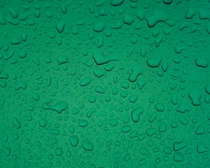 Preview wallpaper drops, water, surface, macro, green, wet