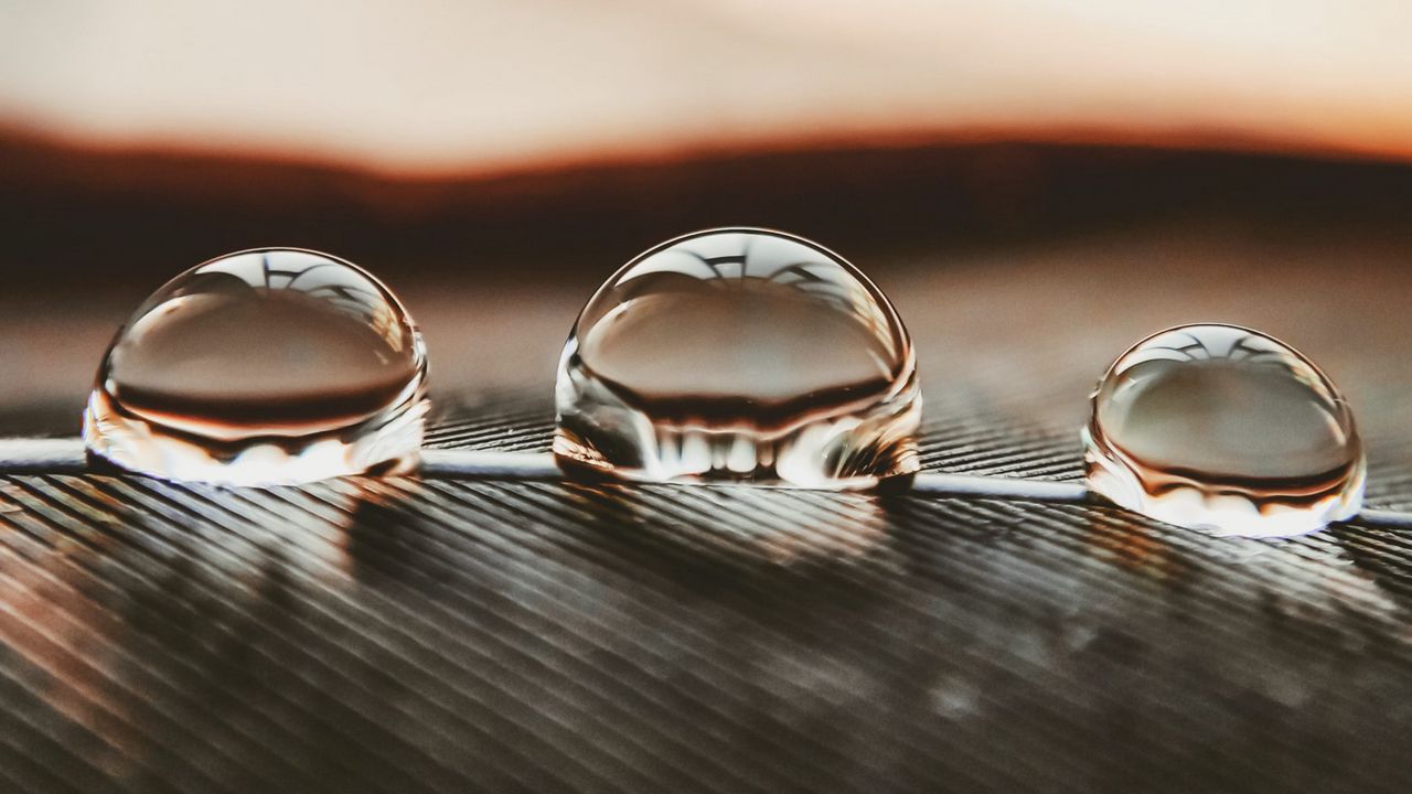 Wallpaper drops, water, surface, macro, reflection