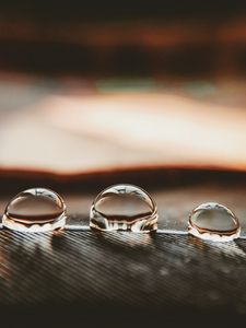 Preview wallpaper drops, water, surface, macro, reflection