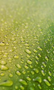 Preview wallpaper drops, water, surface, rain, macro
