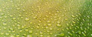 Preview wallpaper drops, water, surface, rain, macro