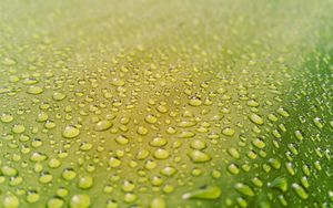 Preview wallpaper drops, water, surface, rain, macro