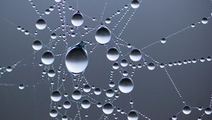 Preview wallpaper drops, water, web, macro