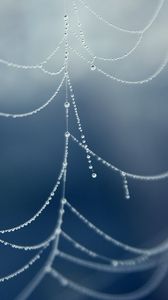 Preview wallpaper drops, water, web