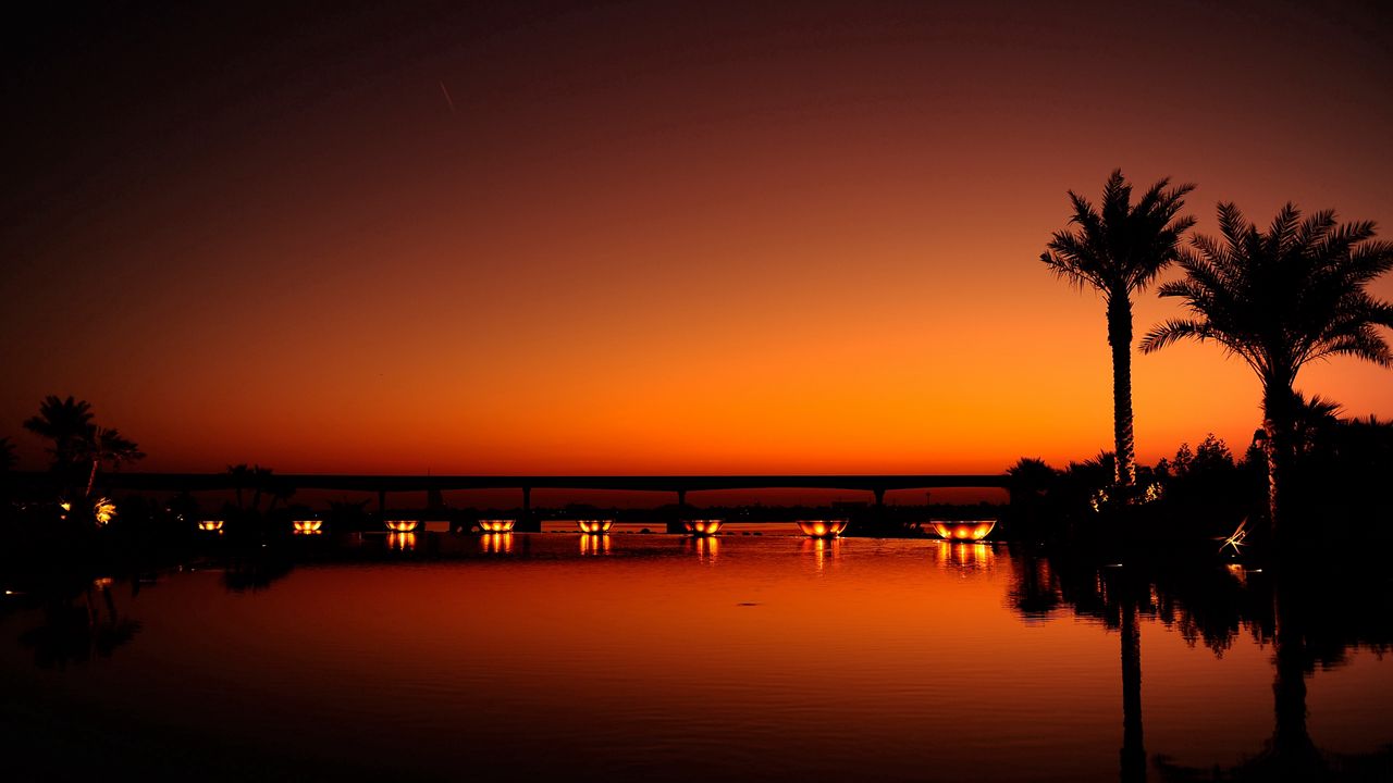 Wallpaper dubai, night, evening, sunset, orange, black, palm trees, water, light, reflection