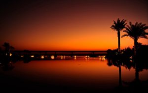 Preview wallpaper dubai, night, evening, sunset, orange, black, palm trees, water, light, reflection