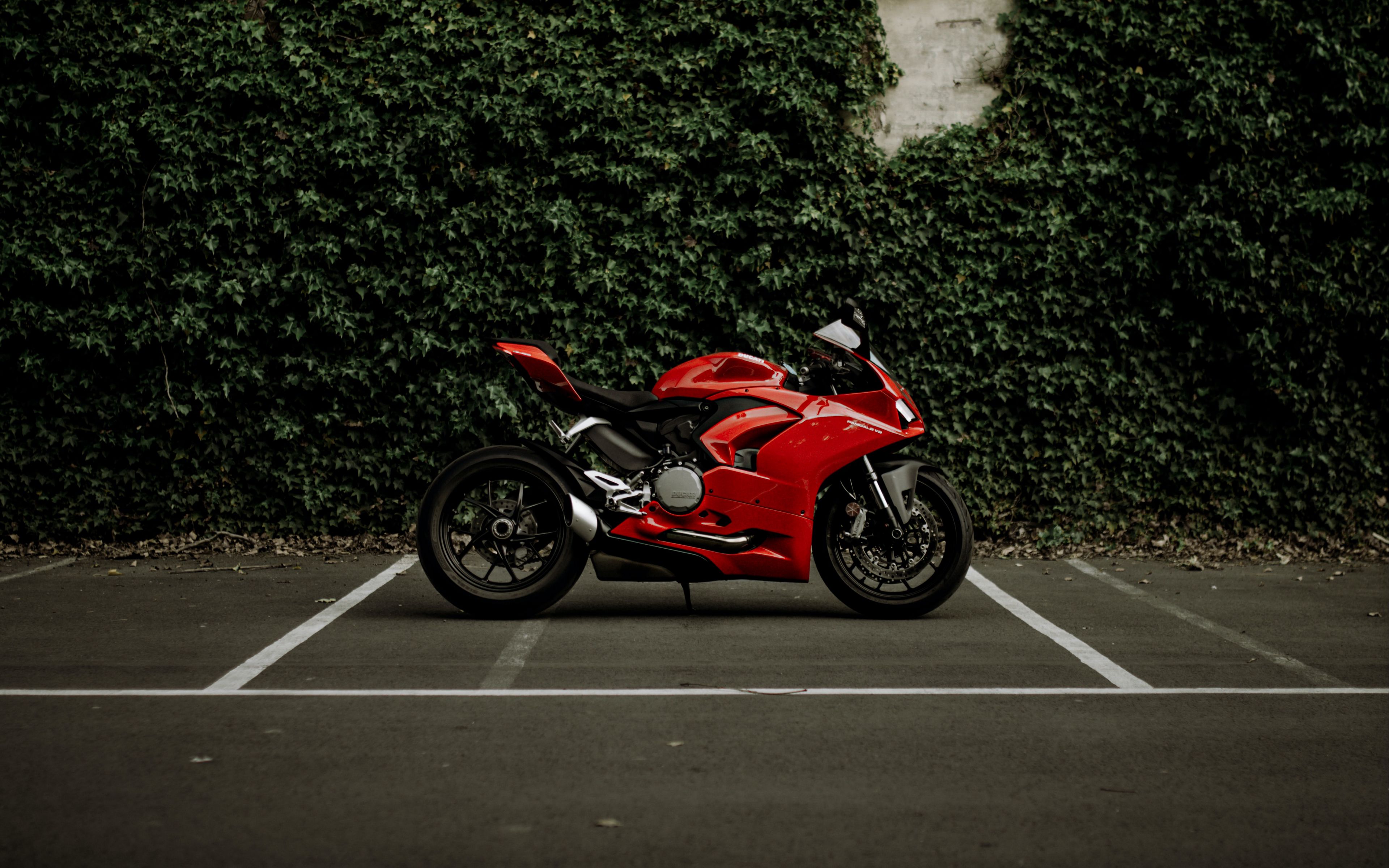 Ducati HD wallpapers  Pxfuel