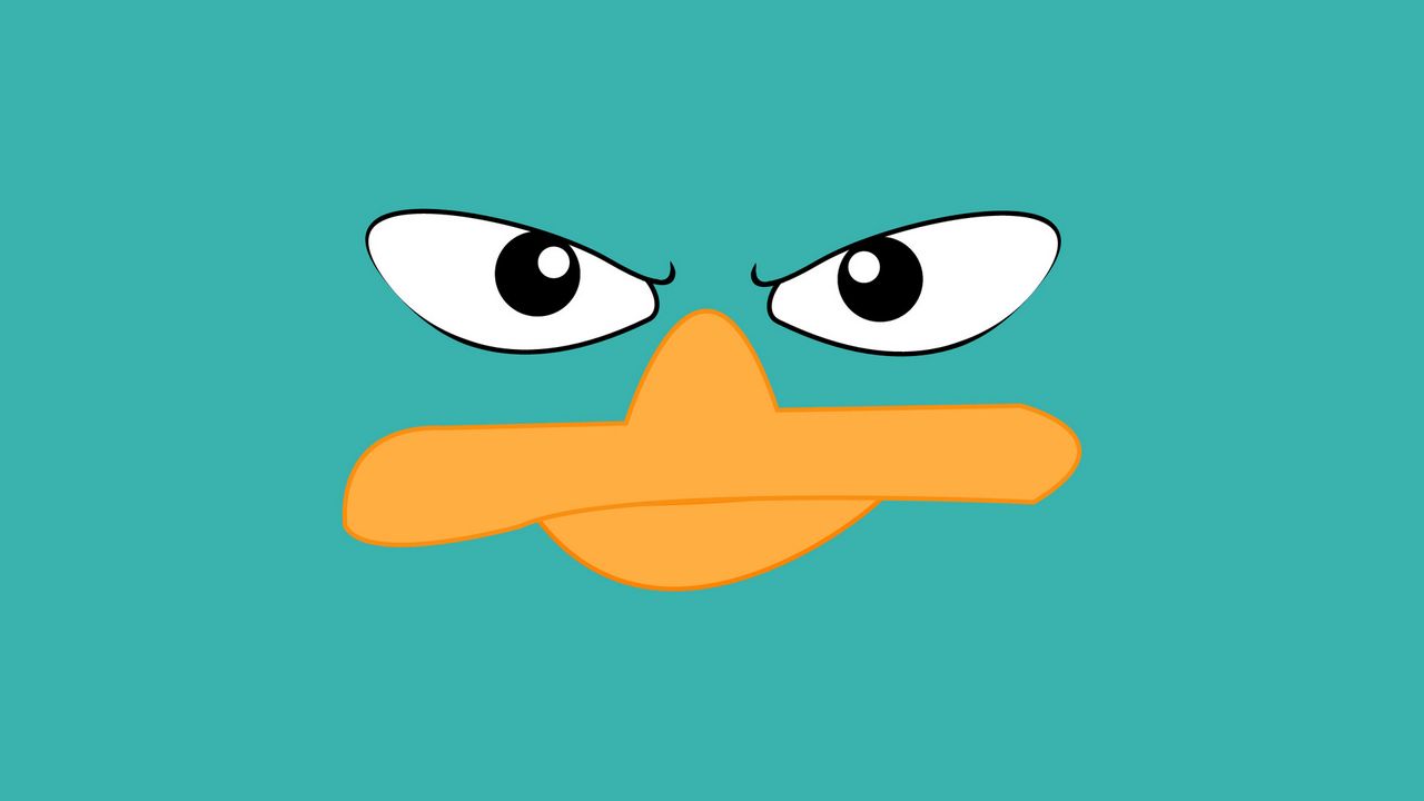 Wallpaper duck, face, beak, eyes, vector